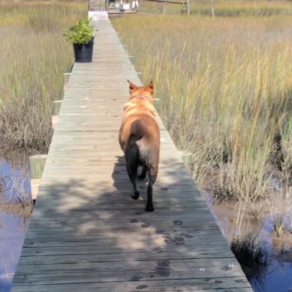 Meet your Posher, Jessica - Picture 3 of 3